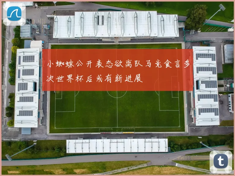 小蜘蛛公开表态欲离队马竞食言多次世界杯后或有新进展