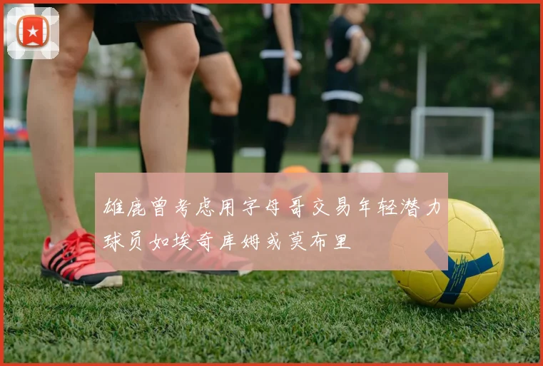 雄鹿曾考虑用字母哥交易年轻潜力球员如埃奇库姆或莫布里