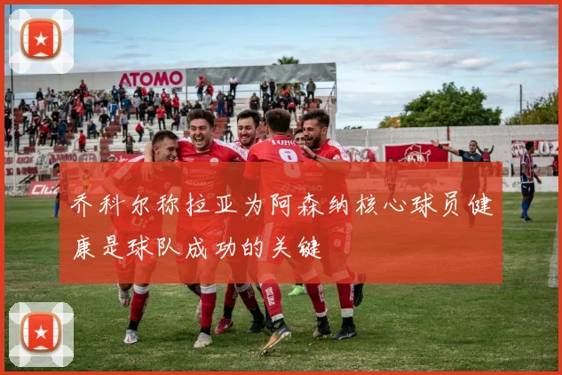 乔科尔称拉亚为阿森纳核心球员健康是球队成功的关键